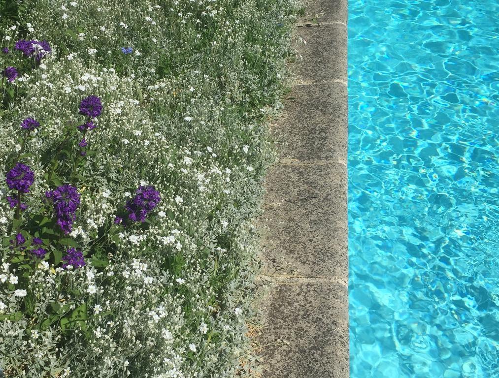 Bed and Breakfast Fleurs De Vignes Piscine Montagny-lès-Beaune Exteriér fotografie